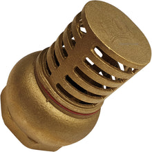 Load image into Gallery viewer, Brass Foot Valve