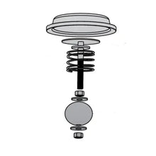 Load image into Gallery viewer, Bertolini Spray Head